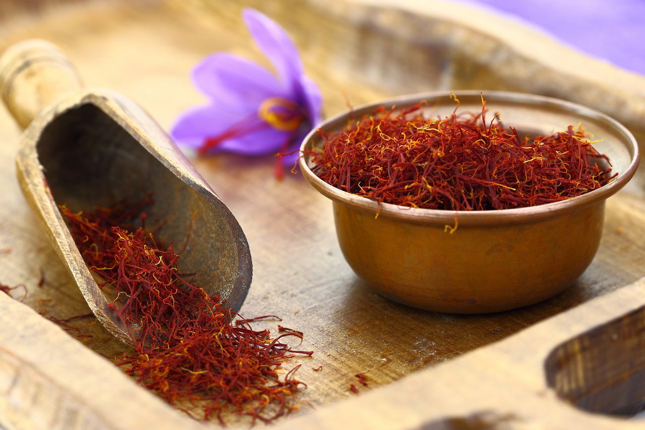 cultivation of saffron