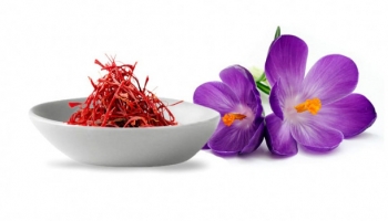 All stories behind the persian red gold(Saffron)